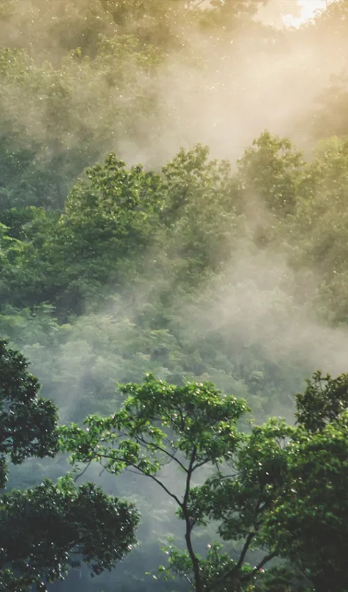 ISO 14001 Umweltmanagement Beratung f&uuml;r Ihr Unternehmen