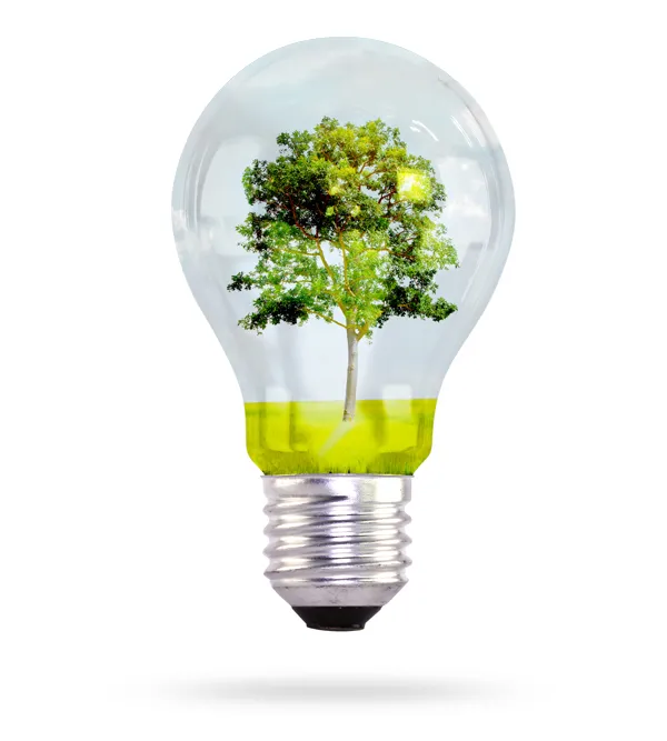 ISO 14001 f&uuml;r Ihr Unternehmen in Berlin